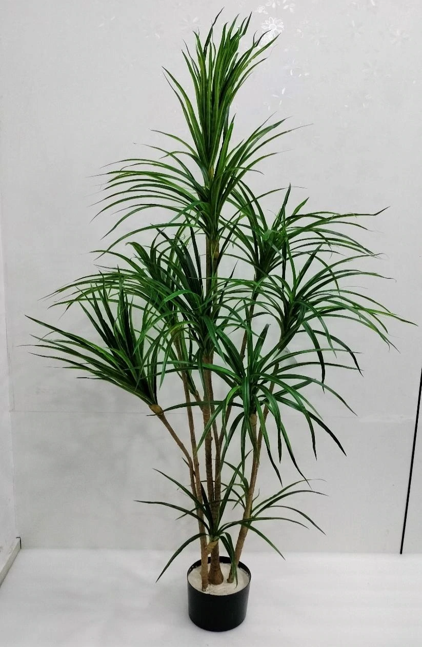 Yucca Long Leaves Plant x14 Without Base 180cm